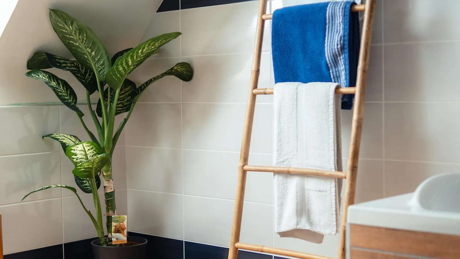 Tatil Evi Maison Les Hopitaux Erquy Villa Fransa